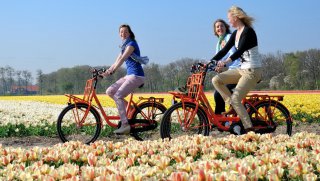 &copy; iamsterdam.com