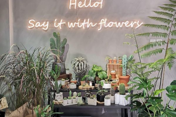 hello-flowers-29415aeca-14ca-b92c-f123-d297a99124cfB0C02684-6B81-088B-B9AD-FDB99213AB26.jpg